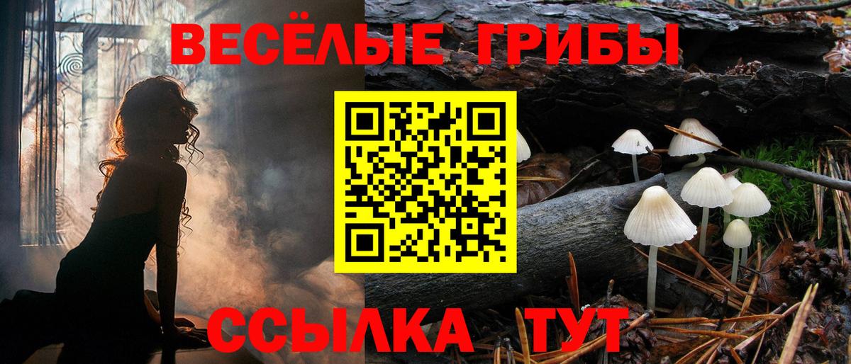 где купить   Вход с VPN  Красноярск  Псилоцибиновые грибы ЛСД 